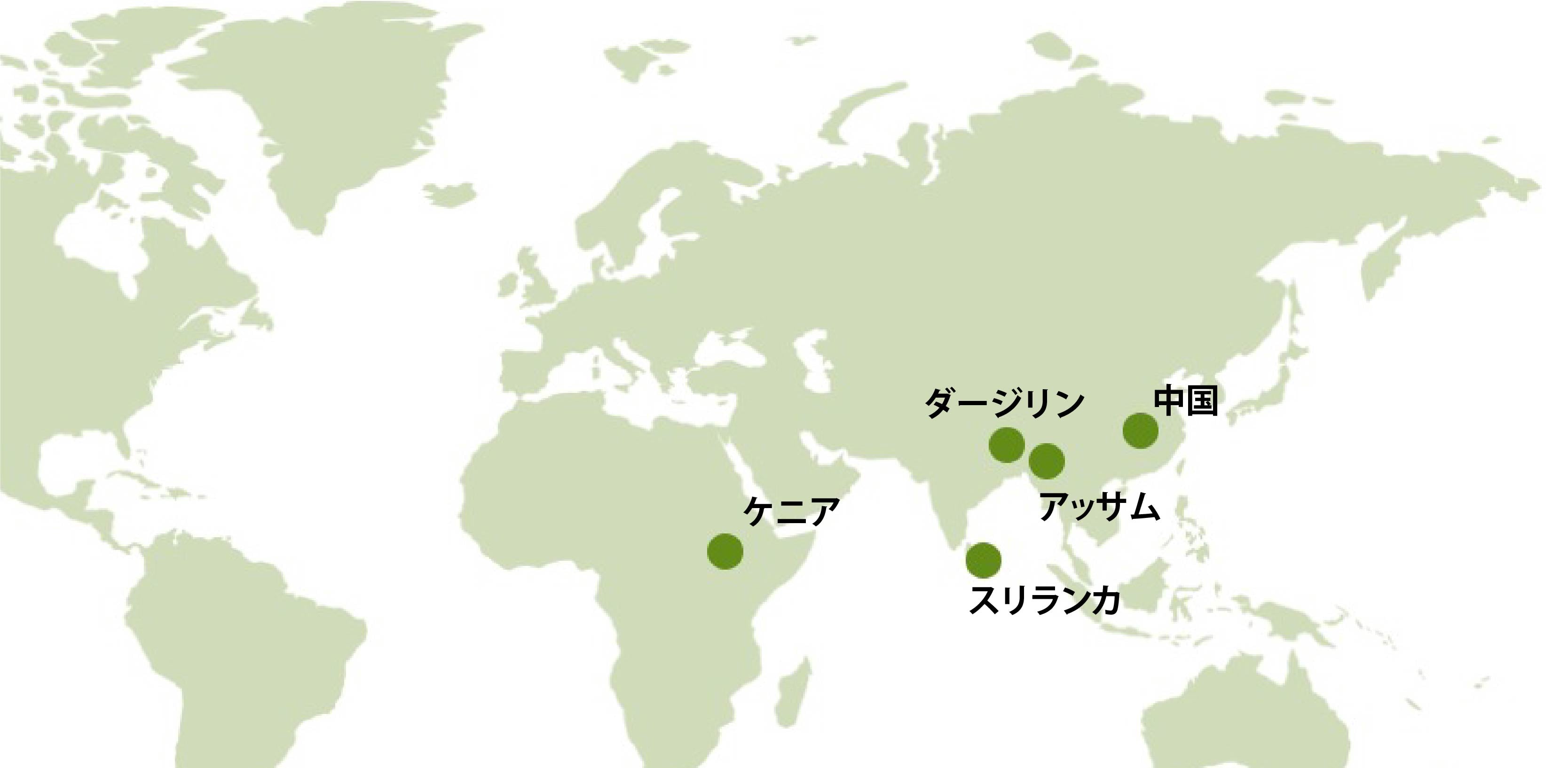 世界地図で見る、主な紅茶の産地