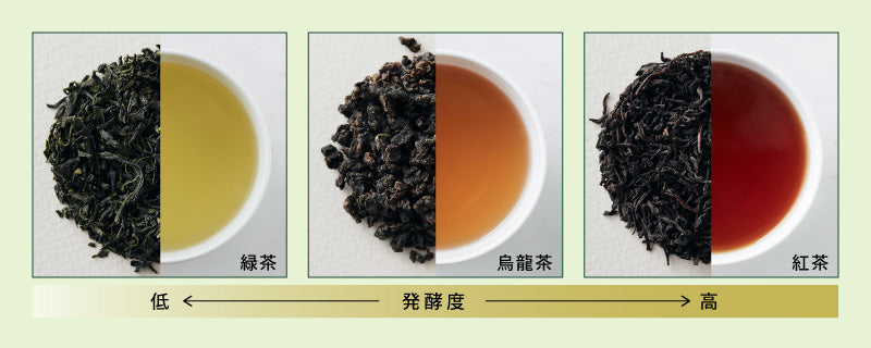 紅茶と他のお茶との違いは“発酵”